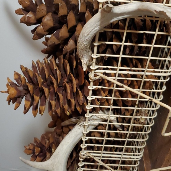 💥SOLD OUT💥Huge Authentic Sugar Pinecones 13to14inches Long - Picture 9 of 11